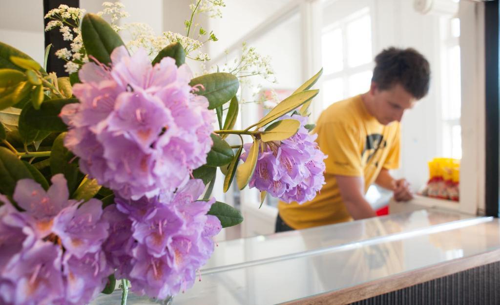 Ronneby Brunnspark Vandrarhem Och B&B Exteriér fotografie